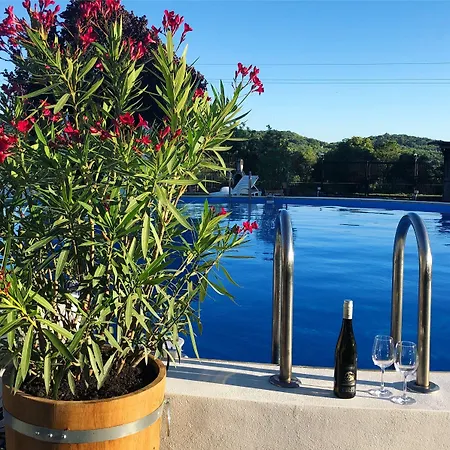 Hotel The Of History - Anno 1830