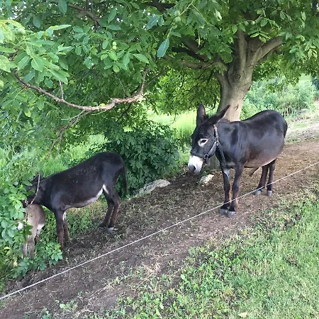 The Of History - Anno 1830 4*