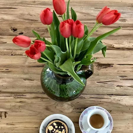 The Of History - Anno 1830 Hotel