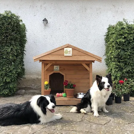 The Of History - Anno 1830 Hotel