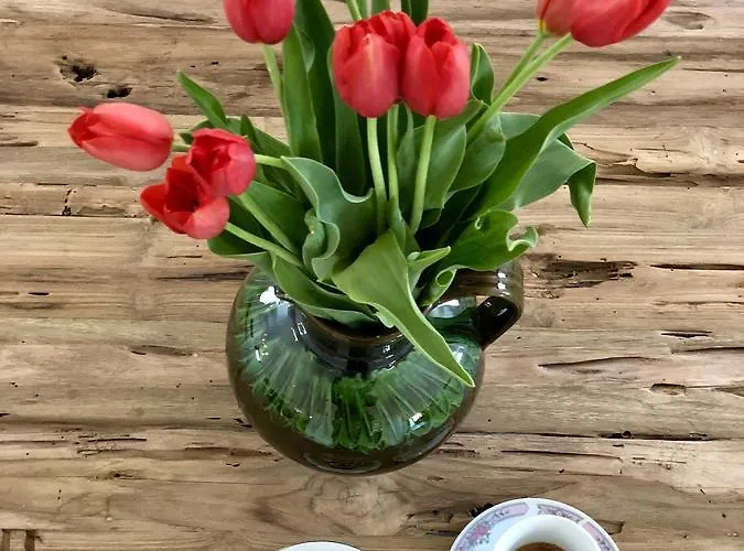 The Of History - Anno 1830 Hotell